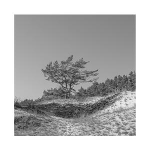 酒药做爱视频大全
